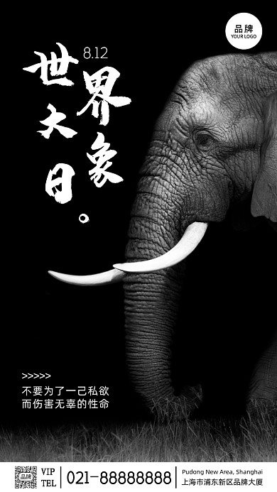 公益摄影简约风世界大象日摄影图海报