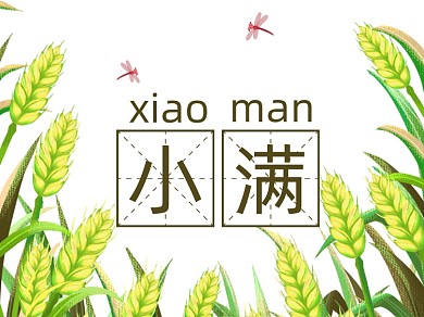 小满二十四节气麦子麦穗横版配图