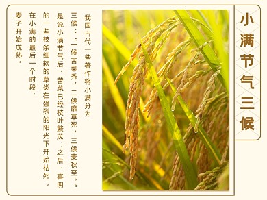 小满节气三候横版配图