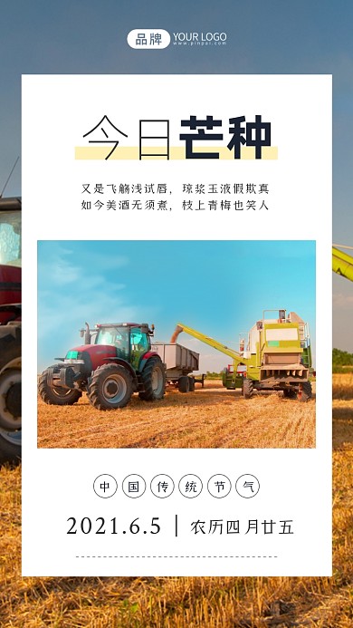 二十四节气芒种简约摄影图海报