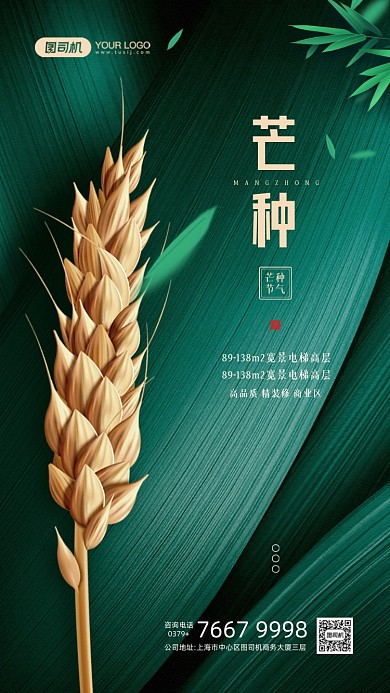 芒种节气绿色麦穗宣传手机海报