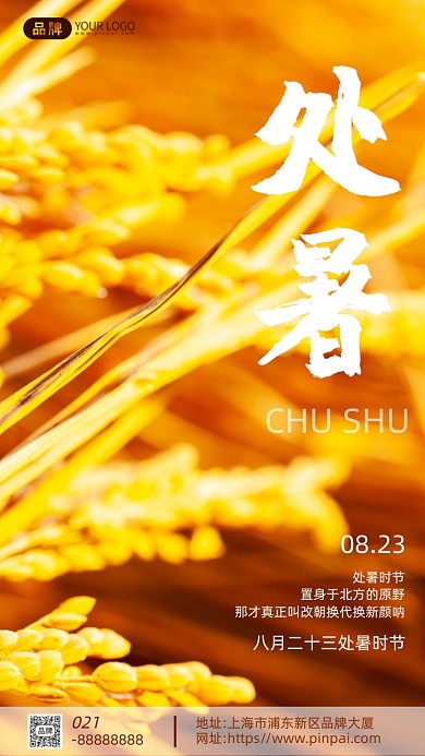 处暑节气黄色麦子摄影图海报