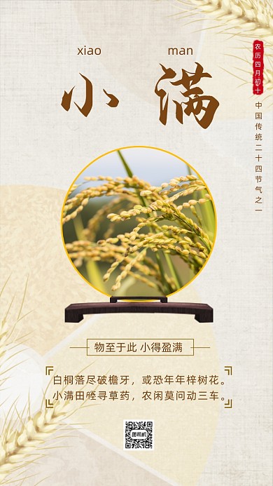 小满时节浅色简约节气手机海报