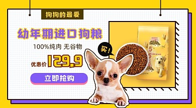 宠物狗粮产品展示促销商品卡片