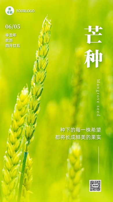 芒种节气祝福实景手机海报