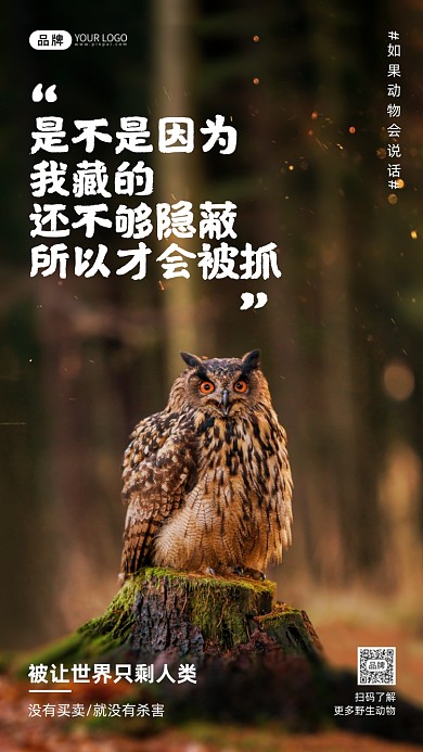 保护野生猫头鹰购公益宣传摄影图海报