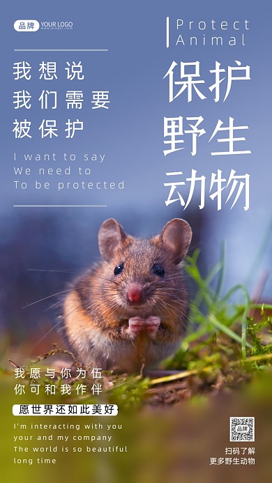 野生动物保护摄影图海报