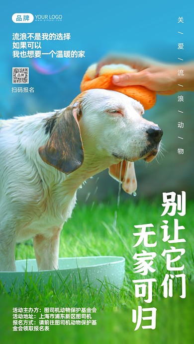 保护流浪动物公益宣传摄影图海报