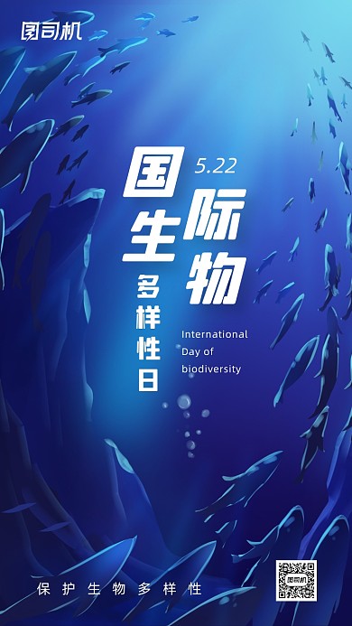 国际生物多样性日蓝色简约手机海报
