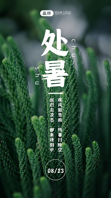 处暑节气清新文艺摄影图海报