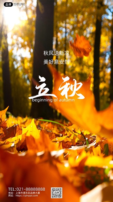 秋天落叶叶子立秋摄影图海报