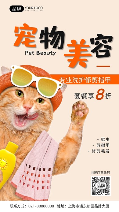 宠物美容洗护暖色系猫咪摄影图海报