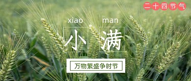 小满麦子摄影图微信公众号首图