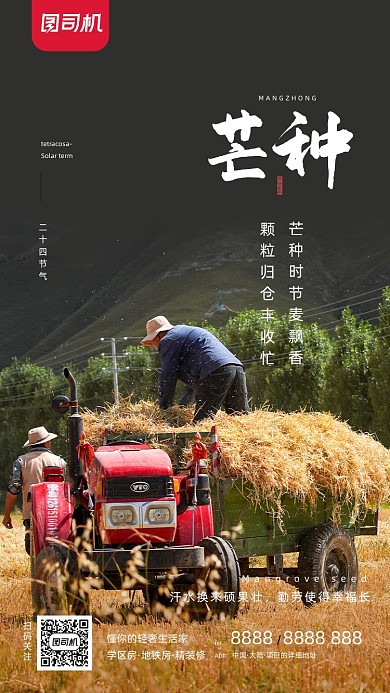 芒种节气农民丰收简约大气手机海报