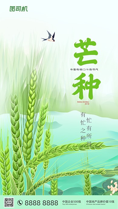 芒种节气绿色清新插画手机海报