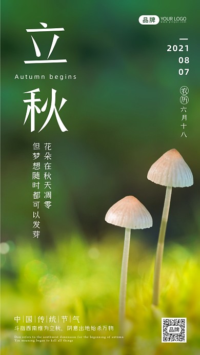立秋节气清新蘑菇摄影图海报