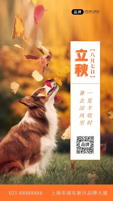 立秋秋天节气枫叶摄影图海报