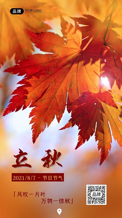 立秋秋天节气枫叶摄影图海报