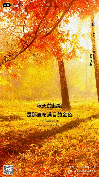 秋天落叶叶子立秋摄影图海报