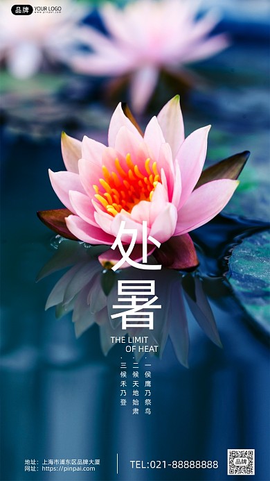 处暑莲花清新摄影海报图