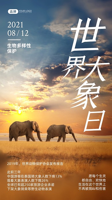 世界大象日简约风摄影图海报