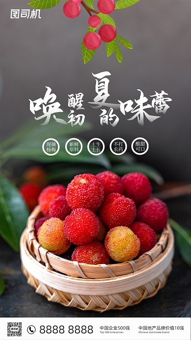 夏季杨梅水果简约清新手机海报