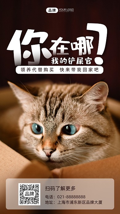 宠物领养宣传摄影图海报