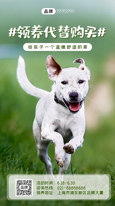 宠物领养宣传摄影图海报