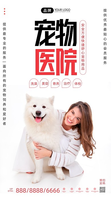宠物医院白色简约摄影图海报