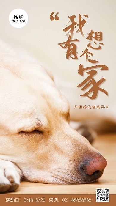 宠物领养宣传摄影图海报