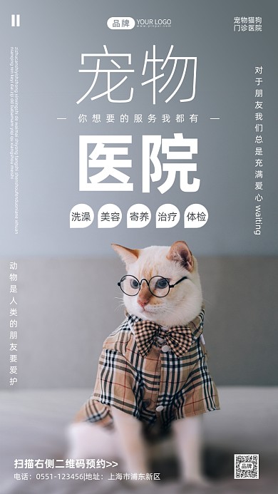 宠物医院动物写实风摄影图海报