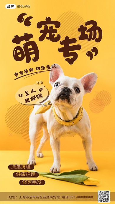 宠物护理清新摄影图海报