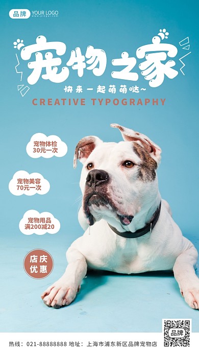 可爱萌宠服务清新摄影图海报
