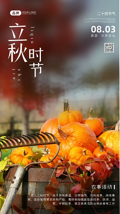 立秋时节南瓜写实风摄影图海报