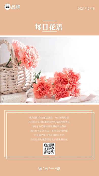 浪漫简约康乃馨花朵摄影图海报