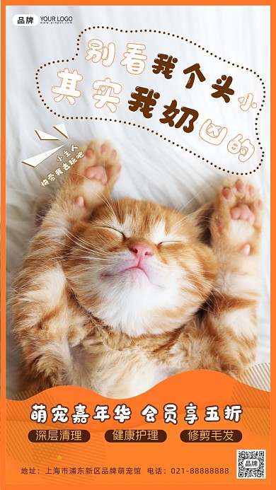 宠物店活动促销摄影图海报
