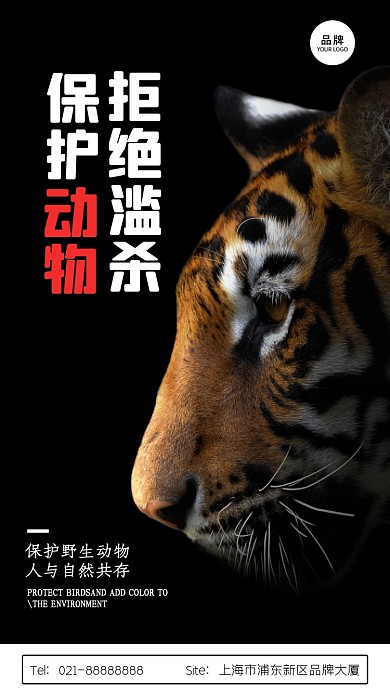 保护动物公益宣传摄影图海报
