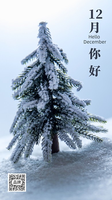 冬天树木照片签到摄影图海报