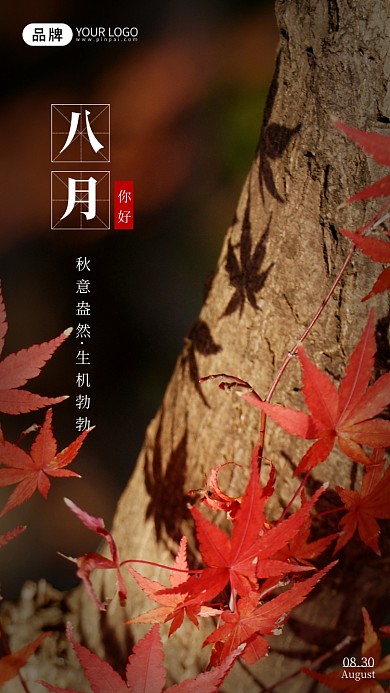 八月你好风景摄影图海报