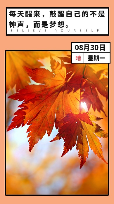 早安红色枫叶鸡汤语录摄影图海报