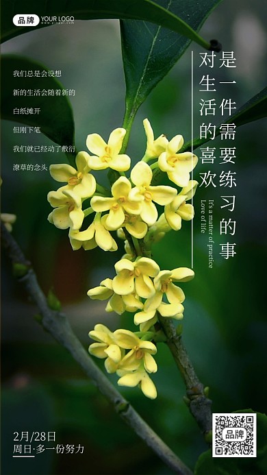 励志早安语录努力风景摄影图海报