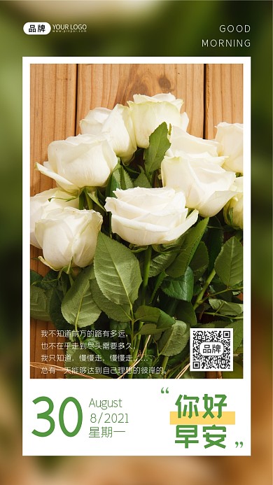 早安问候白玫瑰鲜花摄影图海报