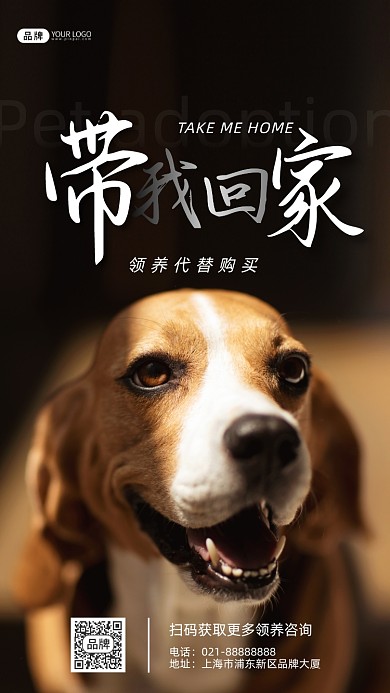 宠物领养宣传摄影图海报