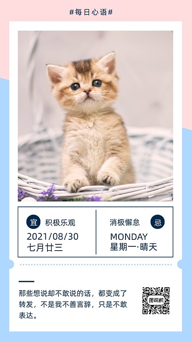 每日心语日签鸡汤猫咪摄影图海报