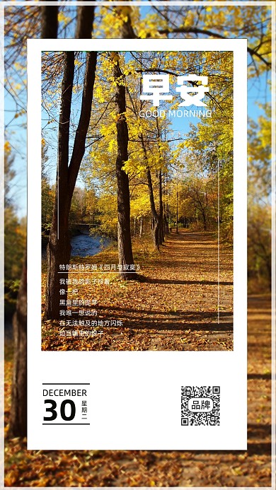 早安问候自然风景树林森林摄影图海报