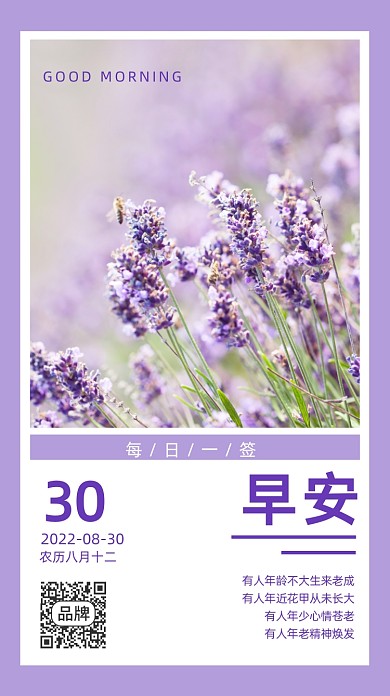 早安风景薰衣草摄影图海报