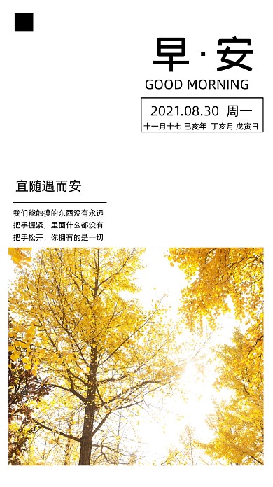 秋天你好清新自然早安问候摄影图海报