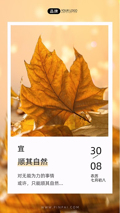 青春励志枫叶日签摄影图海报