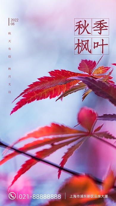 秋季风景图摄影图海报