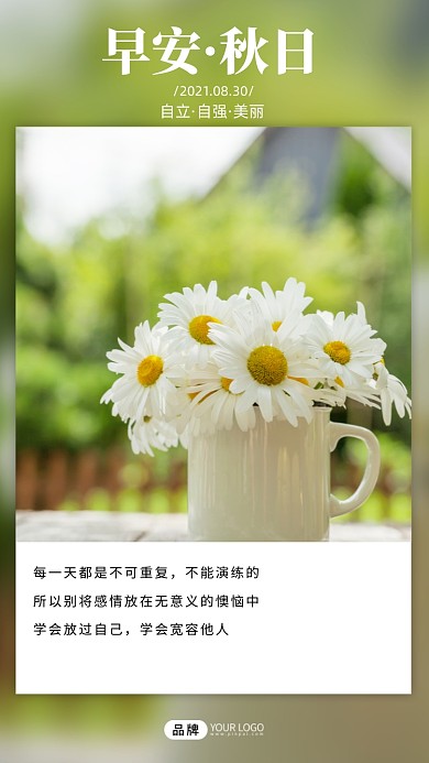 早安问候白色雏菊花风景日签摄影图海报